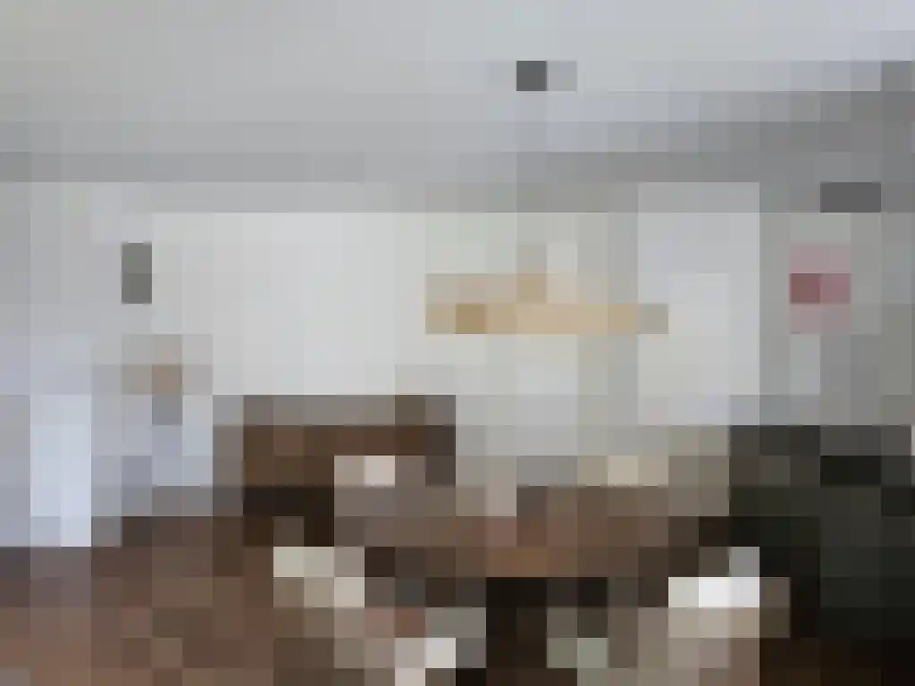 Weversplaats 29 's-Hertogenbosch thumbnail 4