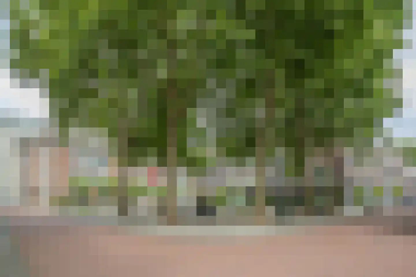 Weversplaats 37 's-Hertogenbosch thumbnail 37