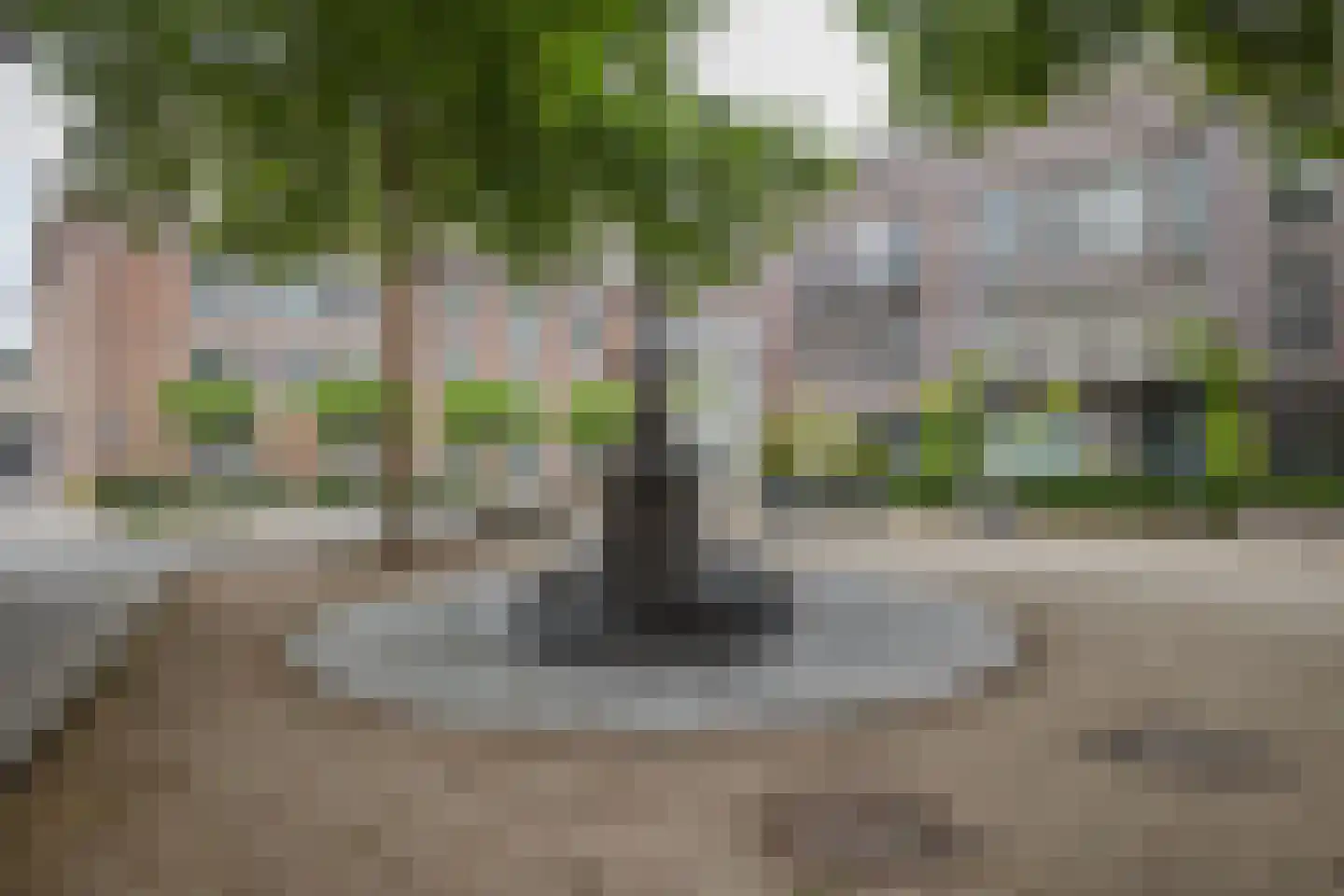 Weversplaats 37 's-Hertogenbosch thumbnail 38