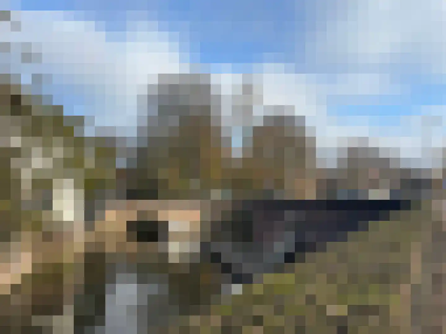 Weversplaats 37 's-Hertogenbosch thumbnail 44