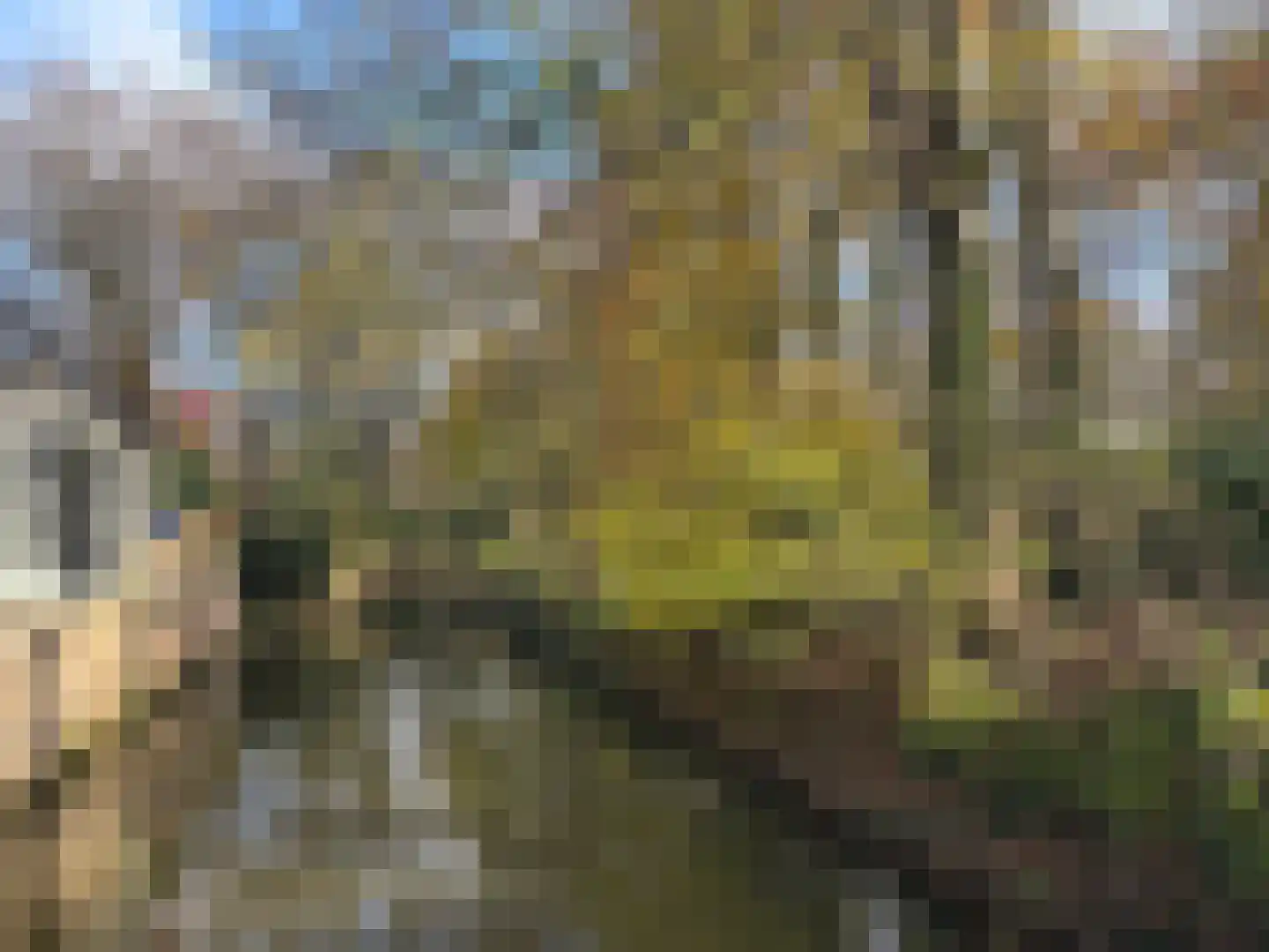 Weversplaats 37 's-Hertogenbosch thumbnail 45