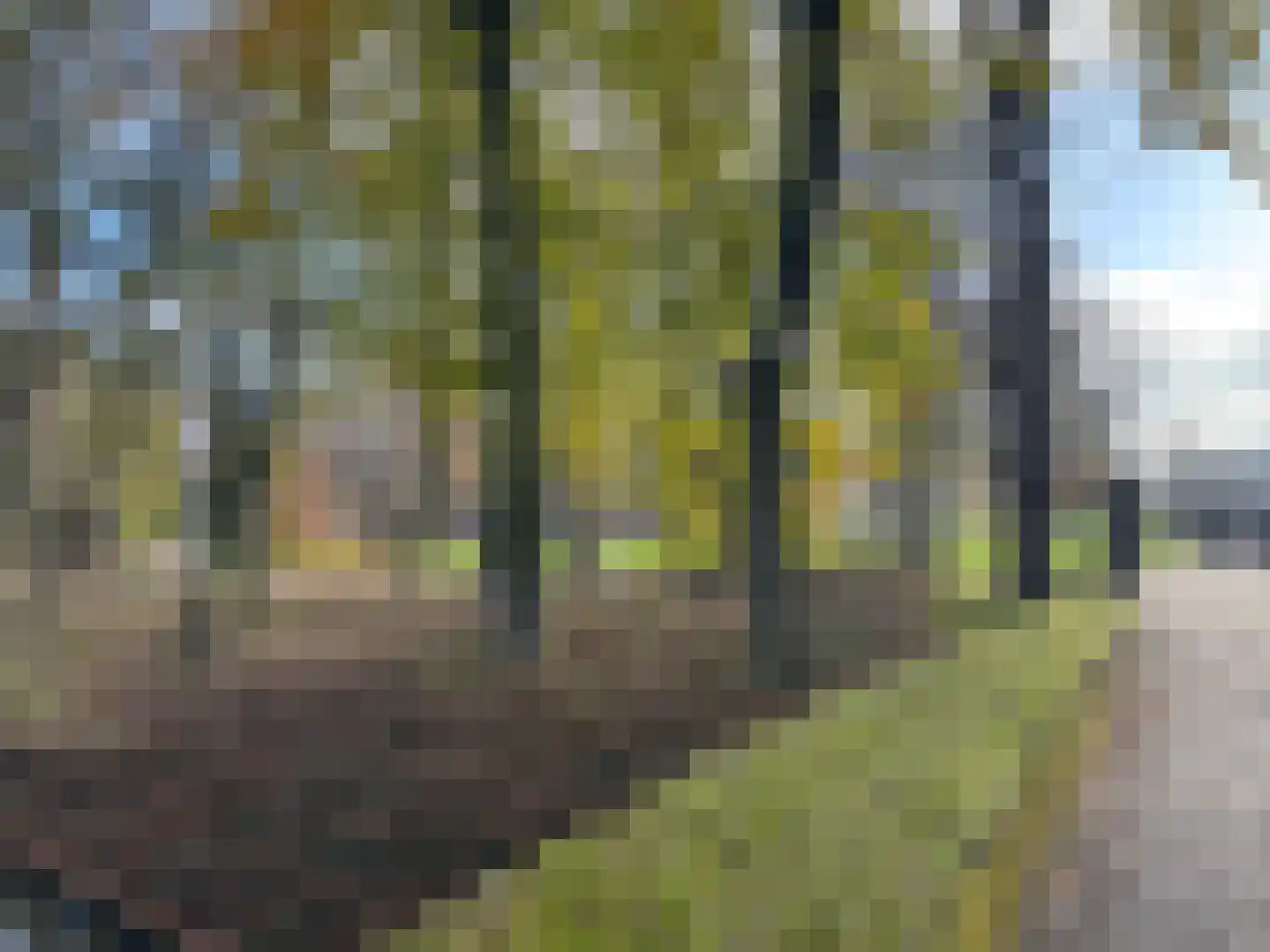 Weversplaats 37 's-Hertogenbosch thumbnail 46