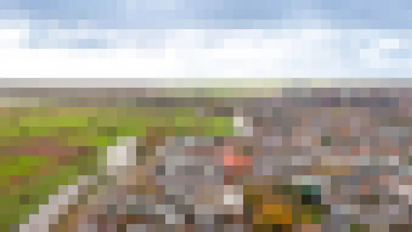 Weversplaats 37 's-Hertogenbosch thumbnail 49