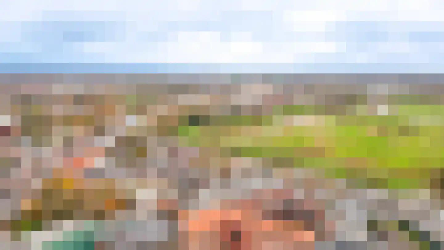 Weversplaats 37 's-Hertogenbosch thumbnail 51