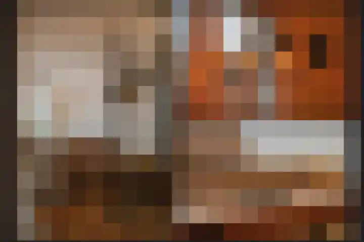 Weversplaats 69 's-Hertogenbosch thumbnail 16