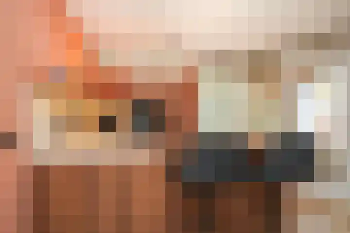 Weversplaats 69 's-Hertogenbosch thumbnail 18