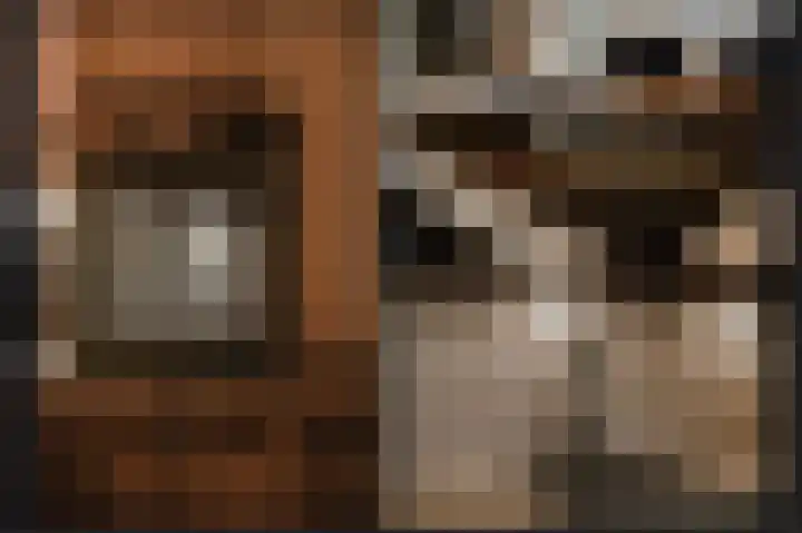 Weversplaats 69 's-Hertogenbosch thumbnail 22