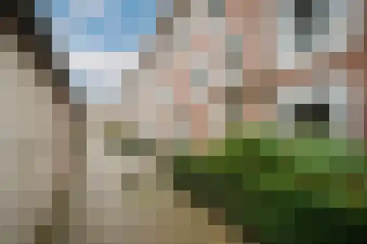 Weversplaats 69 's-Hertogenbosch thumbnail 37