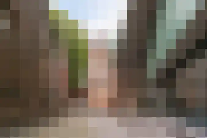 Weversplaats 69 's-Hertogenbosch thumbnail 45