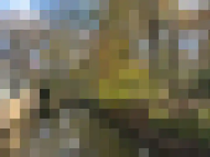 Weversplaats 69 's-Hertogenbosch thumbnail 48