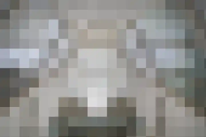 Weversplaats 69 's-Hertogenbosch thumbnail 8
