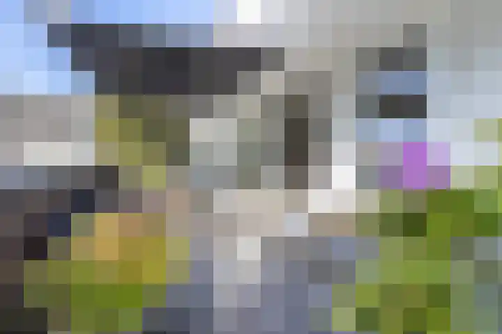 Weversplaats 7 's-Hertogenbosch thumbnail 40