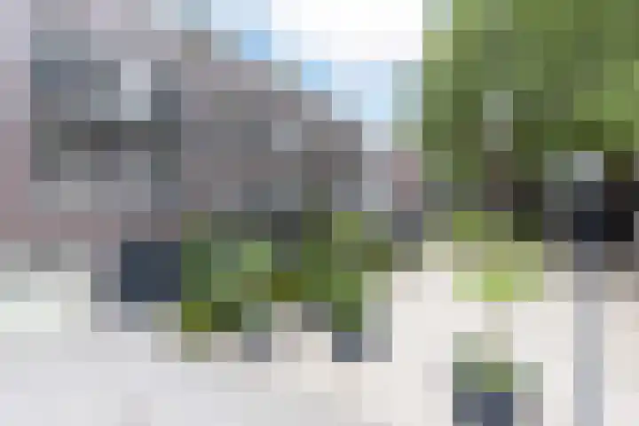 Weversplaats 7 's-Hertogenbosch thumbnail 6