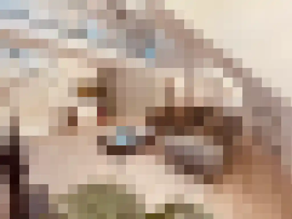 Weversplaats 81 's-Hertogenbosch thumbnail 4