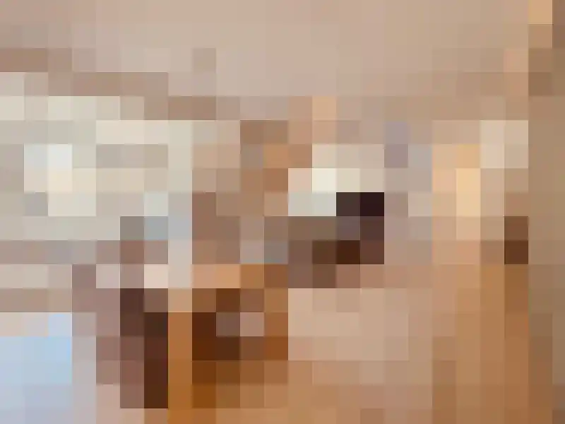 Weversplaats 81 's-Hertogenbosch thumbnail 8