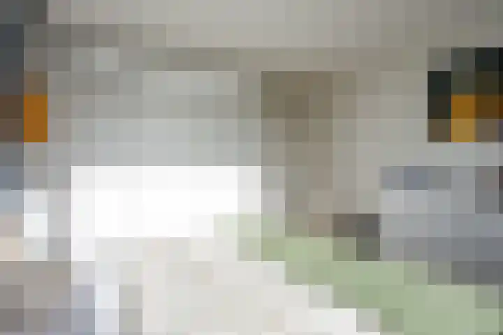 Weversrijge 5 Bedum thumbnail 34