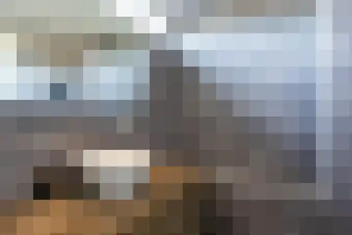 Weversrijge 5 Bedum thumbnail 39