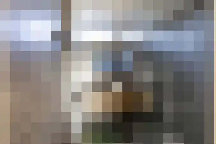 Weversrijge 5 Bedum thumbnail 4