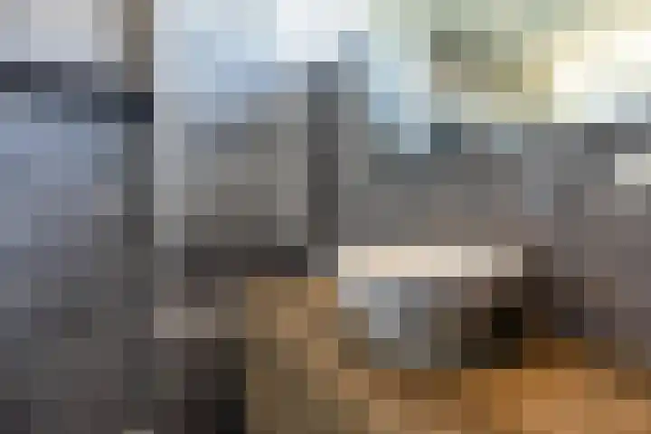 Weversrijge 5 Bedum thumbnail 41