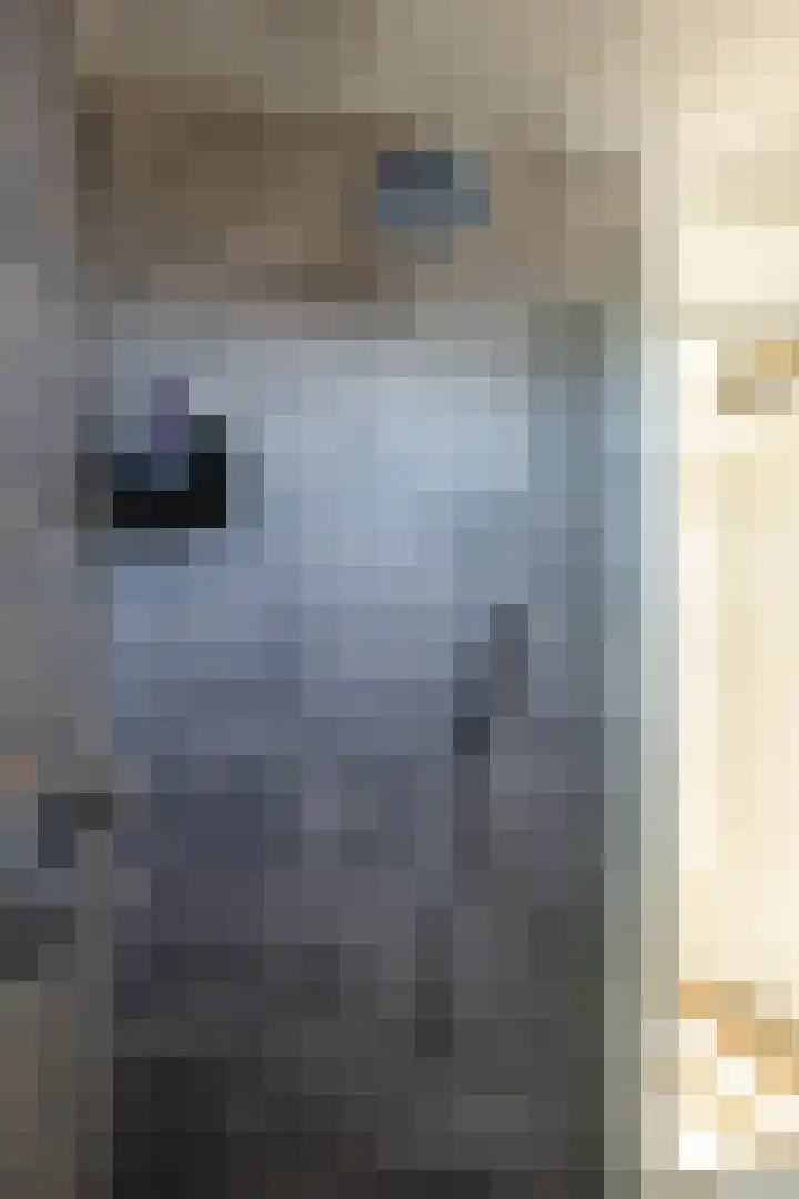 Weversrijge 5 Bedum thumbnail 43