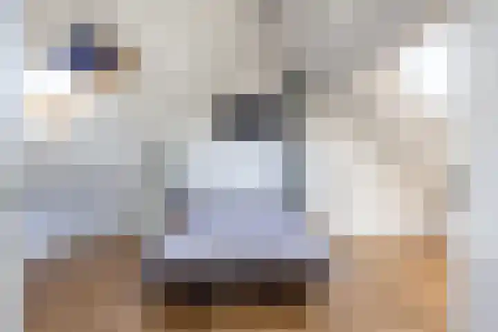 Weversrijge 5 Bedum thumbnail 46