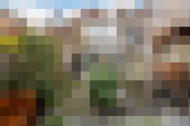 Weverssingel 15 Amersfoort thumbnail 24