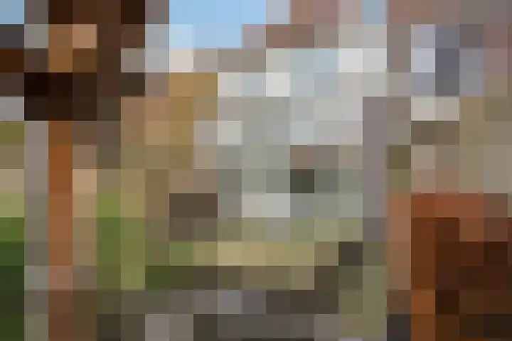 Weverssingel 15 Amersfoort thumbnail 25