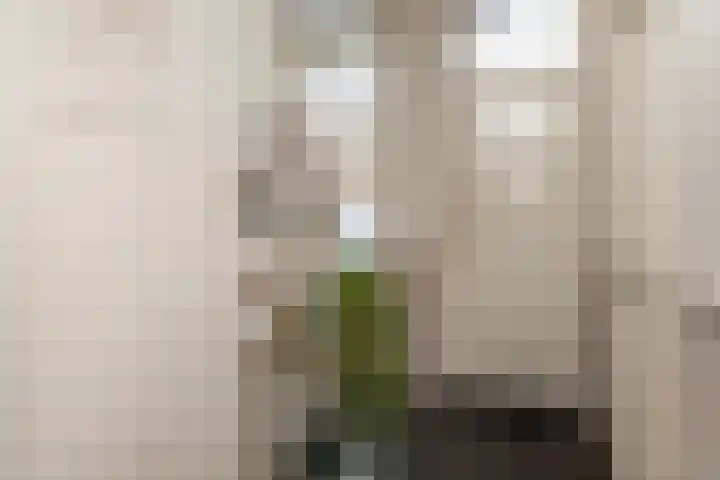 Weverssingel 15 Amersfoort thumbnail 4