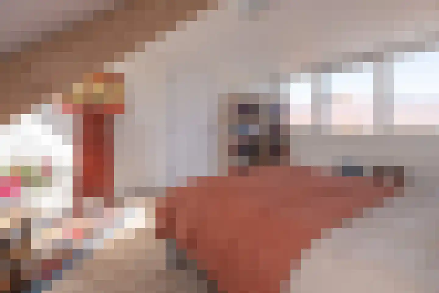 Weverssingel 38 Amersfoort thumbnail 29