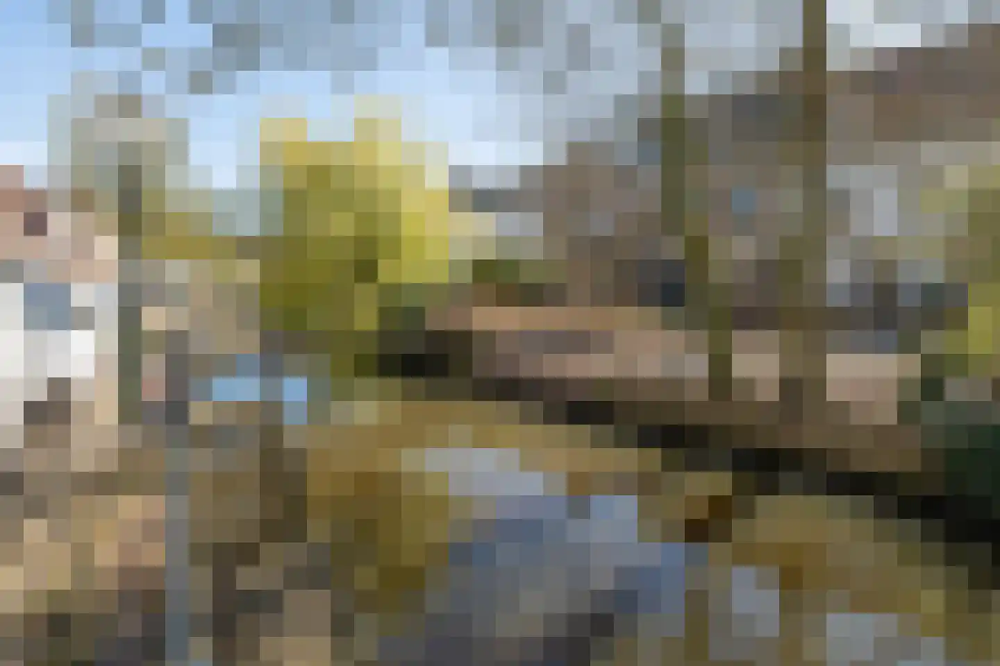 Weverssingel 38 Amersfoort thumbnail 47