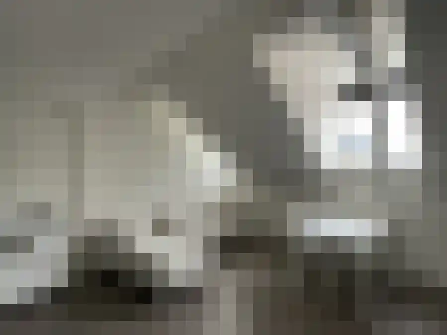Weverssingel Amersfoort thumbnail 4