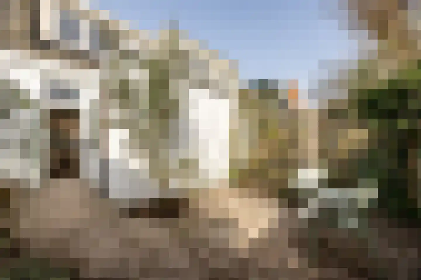 Weversstraat 11 Haarlem thumbnail 11