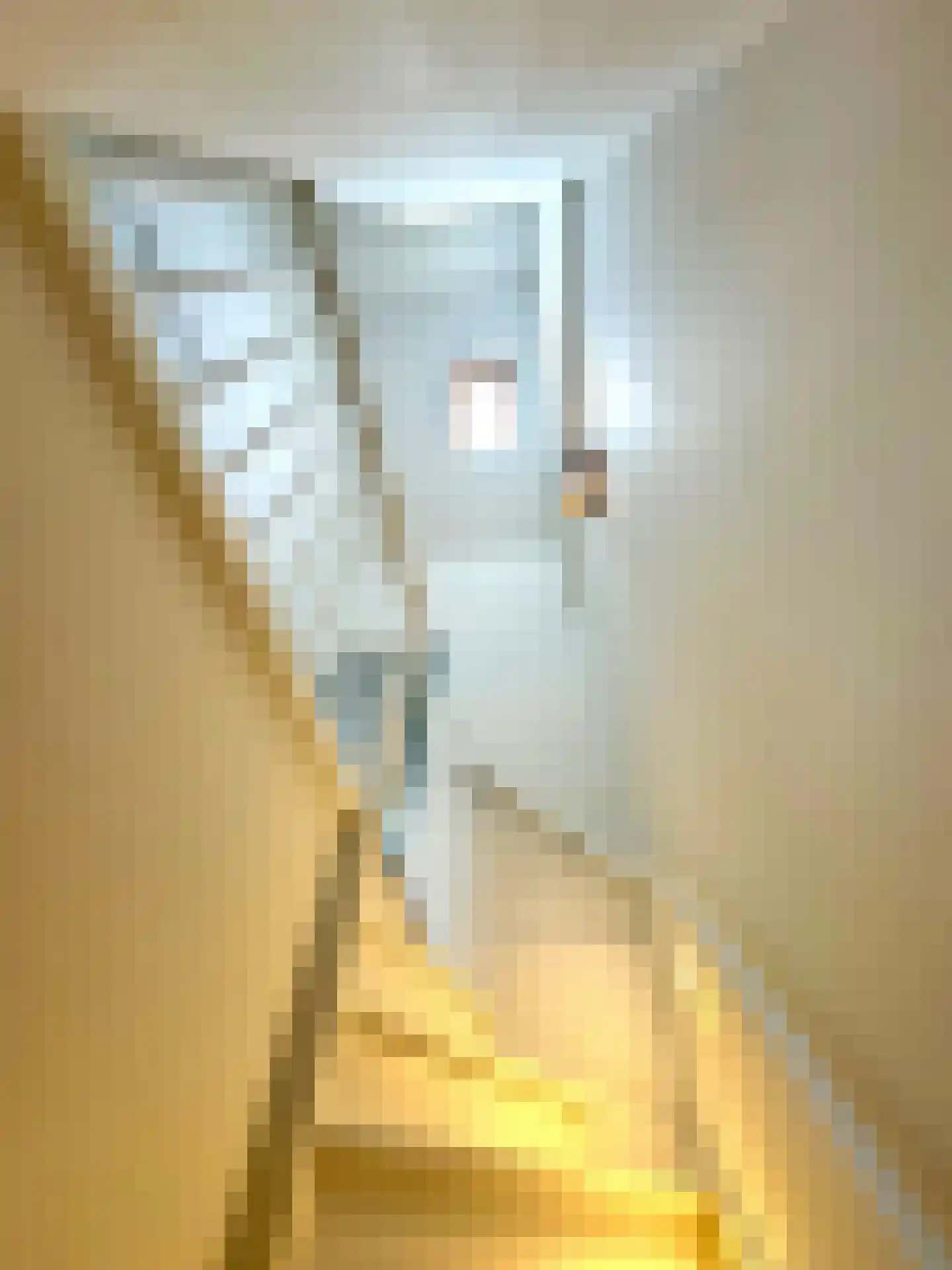 Weversstraat 11 Haarlem thumbnail 15
