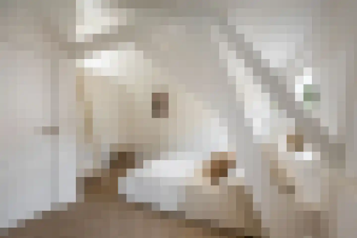 Weversstraat 11 Haarlem thumbnail 18