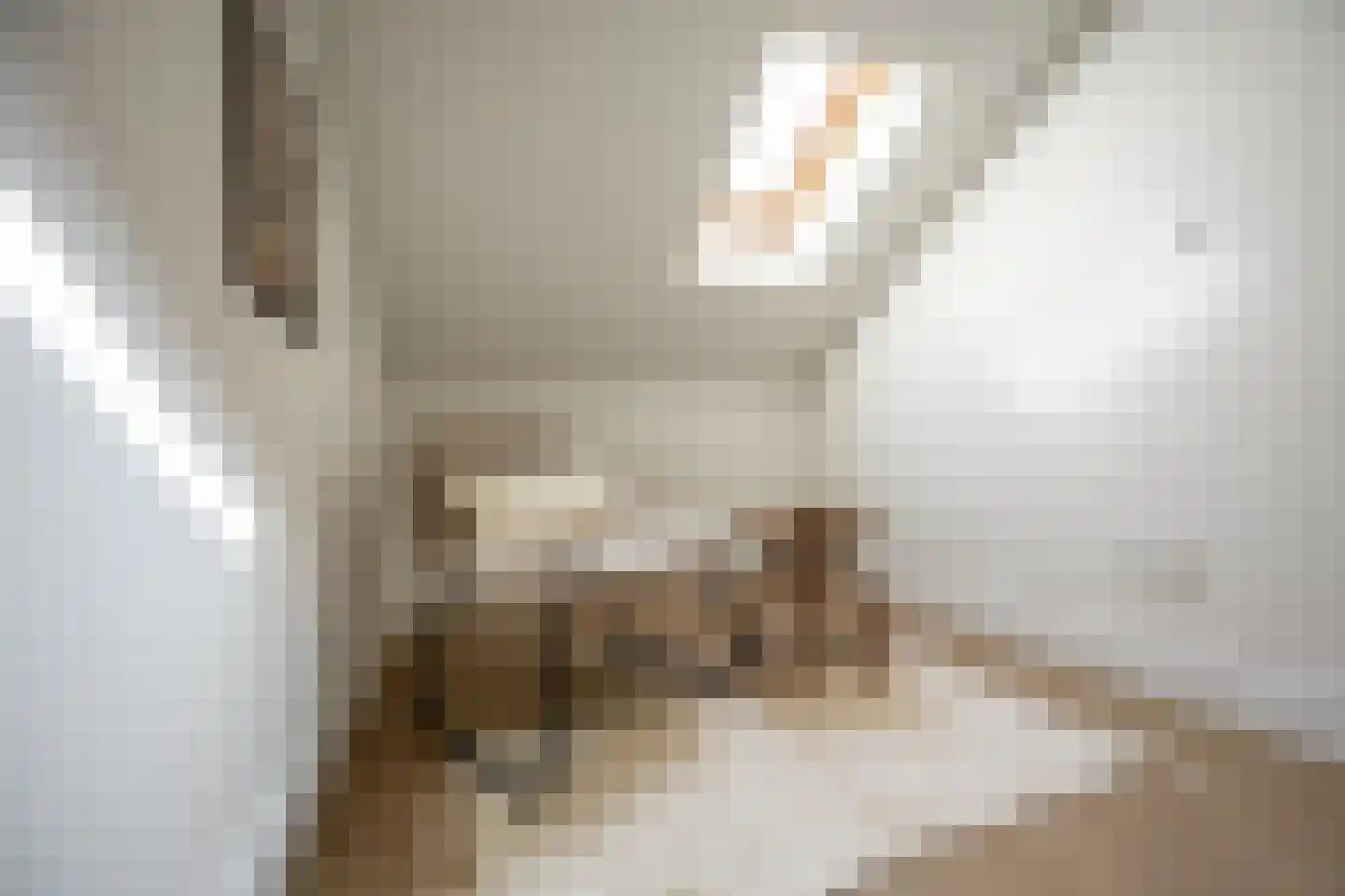 Weversstraat 11 Haarlem thumbnail 20