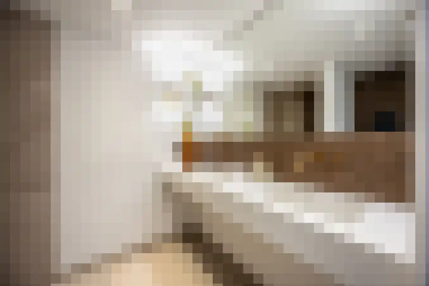 Weversstraat 11 Haarlem thumbnail 22