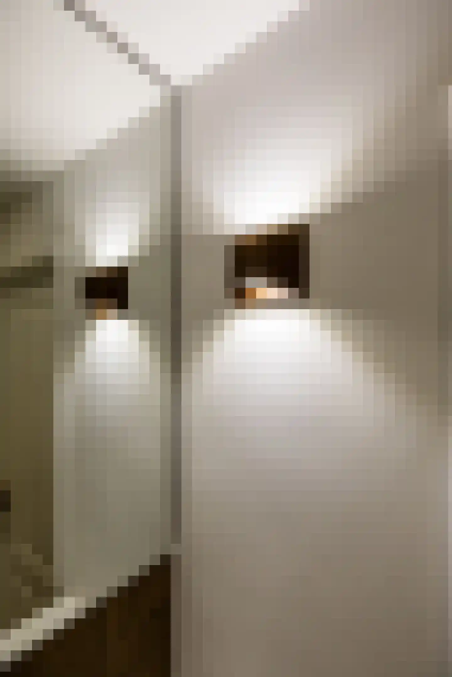 Weversstraat 11 Haarlem thumbnail 26