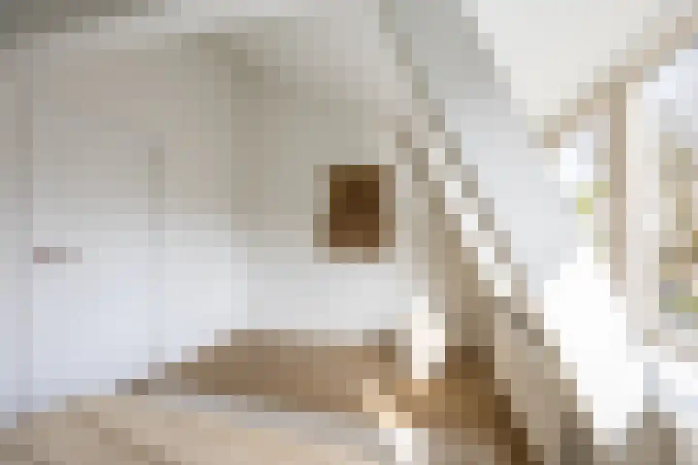Weversstraat 11 Haarlem thumbnail 28