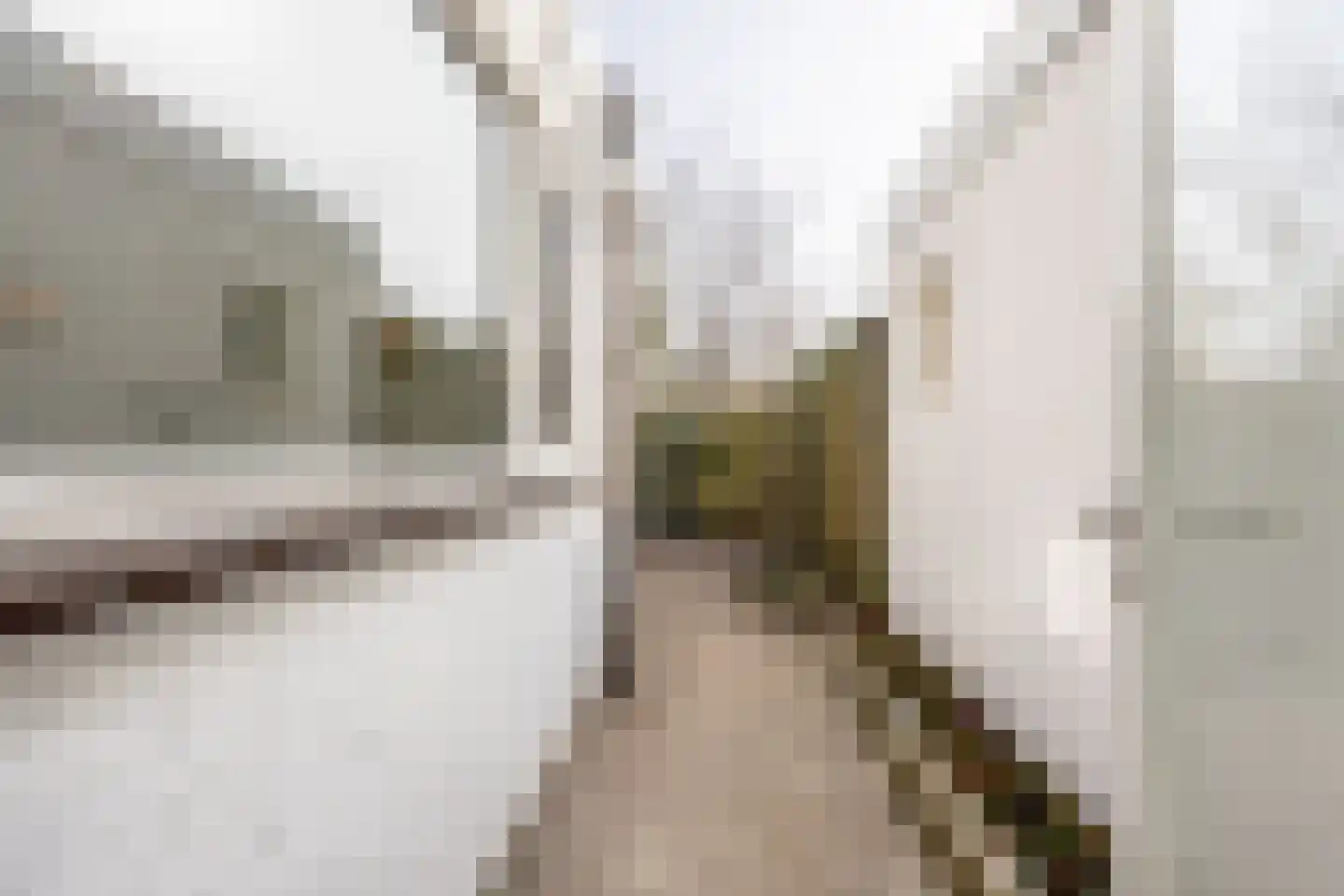 Weversstraat 11 Haarlem thumbnail 9