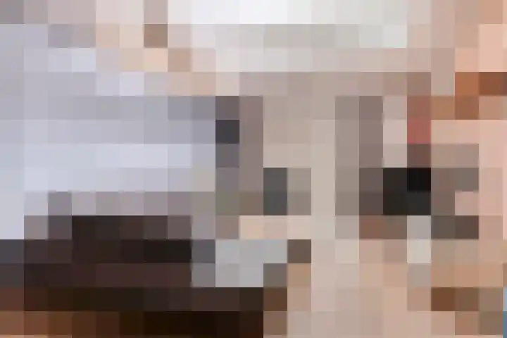 Weversstraat 13 Gemert thumbnail 10