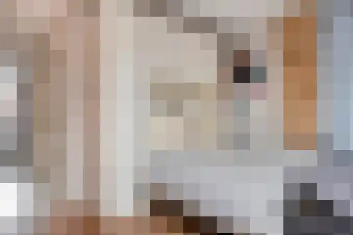 Weversstraat 13 Gemert thumbnail 12