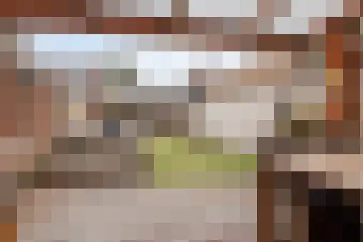 Weversstraat 13 Gemert thumbnail 22