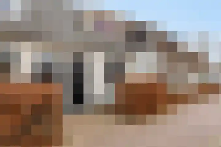Weversstraat 13 Gemert thumbnail 26