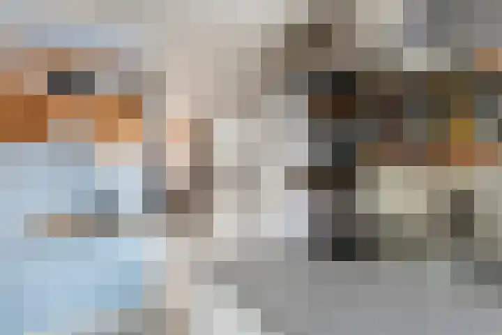 Weversstraat 13 Gemert thumbnail 4