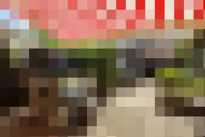 Weversstraat 35 Alblasserdam thumbnail 30