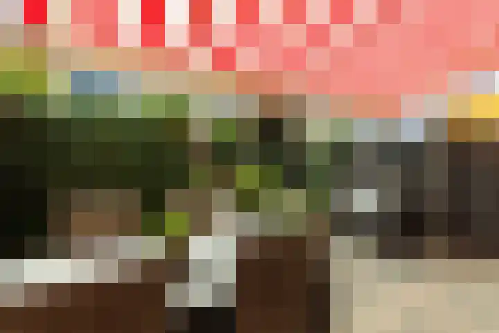 Weversstraat 35 Alblasserdam thumbnail 32