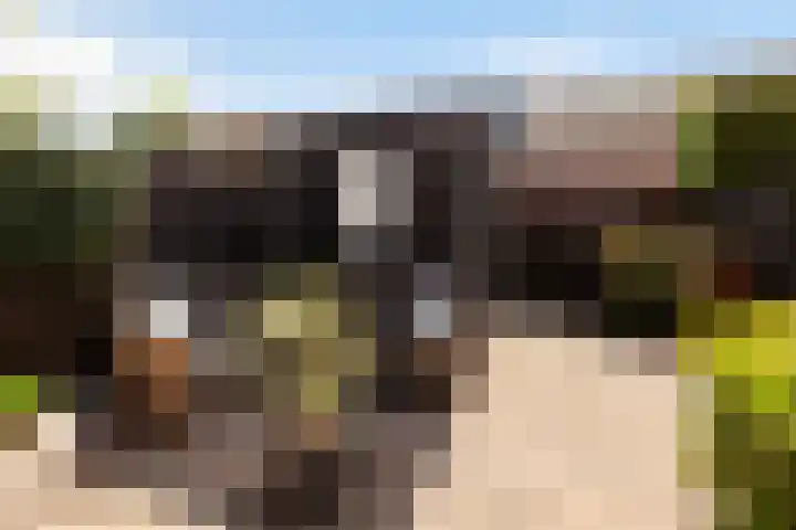 Weversstraat 35 Alblasserdam thumbnail 33