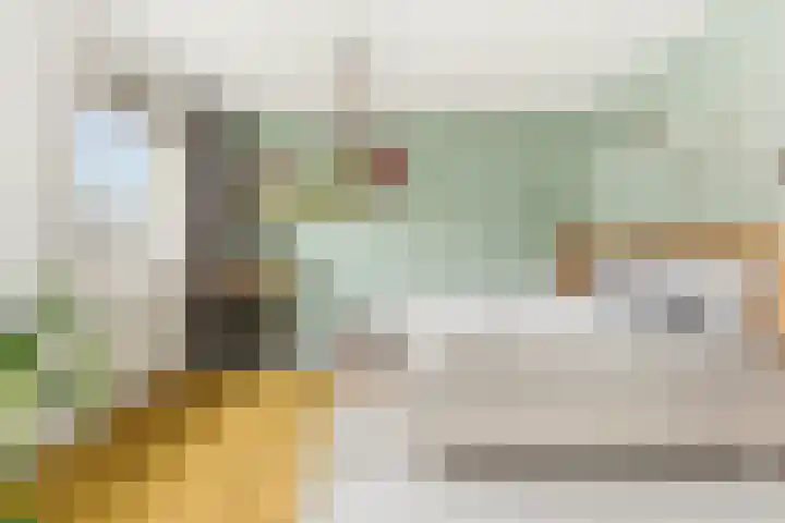 Weversstraat 37 Alblasserdam thumbnail 23