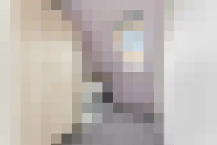 Weversstraat 37 Alblasserdam thumbnail 32