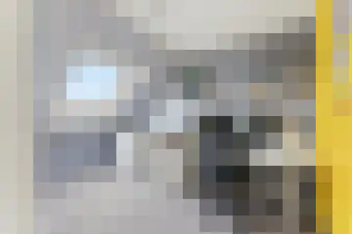 Weversstraat 37 Alblasserdam thumbnail 37